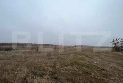 Teren Construcții intravilan de 50000 mp, în Est - 3