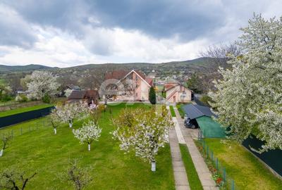 Casă individuală cu 5 camere cu Teren 3659 Mp în Sărata (Sărata) - 2
