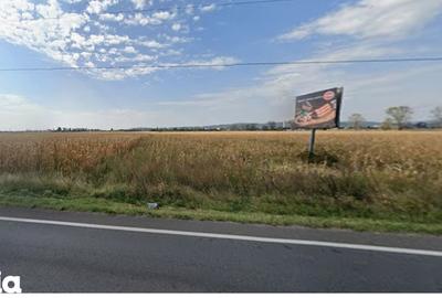 Teren de 5000 mp, în Florești - 3