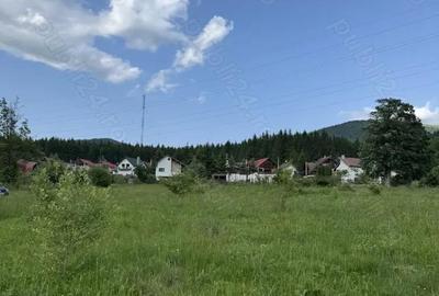 Teren de 5047 mp, în Cumpătu - 9
