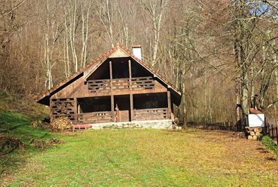 Casă cu 3 camere în Șugag - 1