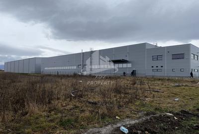 Teren Construcții intravilan de 5000 mp, în Industrial Vest - 1