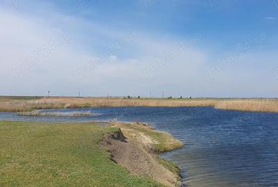 Casă cu 5 camere cu Teren 1500 Mp în Spiru Haret - 4