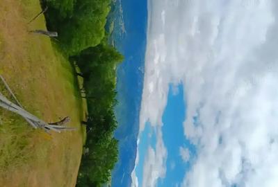 Casă cu 4 camere în Central - 2