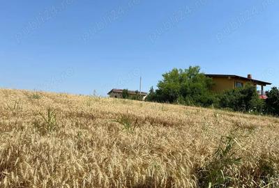 Ciolpani - Ilfov - drumul spre Izvorani, teren 4000 mp, deschidere 17,37 m - 1