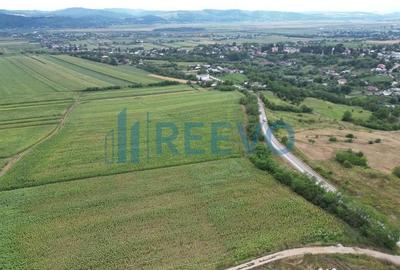 Teren de 3600 mp, în Racova - 3