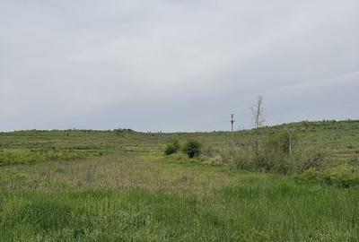 Spațiu comercial, în Central - 3