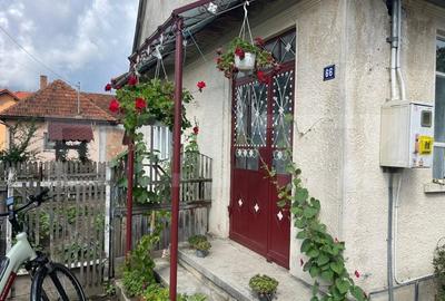 Doua case + anexa, teren 1655mp, Vama Buzaului (Acris) - 6