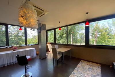 Restaurant de inchiriat Parcul Tineretului Restaurant de inchiriat Parcul Tineretului - 2