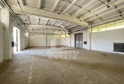 Hala depozitare sau productie cu rampa beton, 280 mp, Zona Buziasului - 1