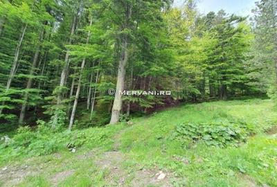 Teren intravilan de vanzare in Sinaia - Zona Furnica - 3