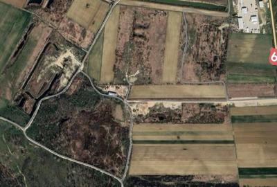 Teren Construcții intravilan de 44000 mp, în Dascălu - 6