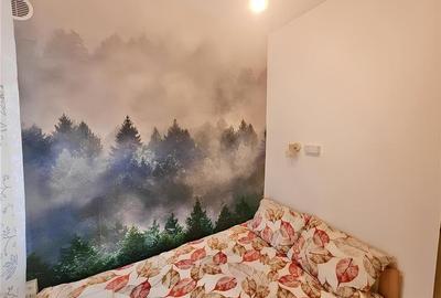 Apartament cu 2 Dormitoare Ultracentral Piata Sfatului - 6