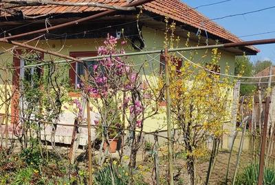 Casă cu 3 camere cu Teren 2000 Mp în Magherești - 2