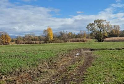 Teren de 2700 mp, în Chechiș - 1