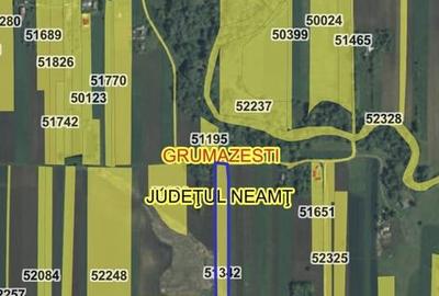 Teren de 9378 mp, în Dragomirești - 1