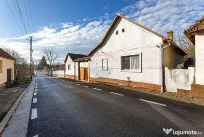 Casă cu 5 camere cu Teren 1620 Mp în Bârzava - 2