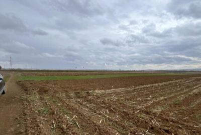 Teren extravilan 2500 mp,cu acces la Centura ,Radauti - 4