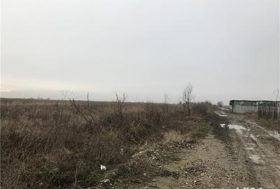 Teren de 10000 mp, în Butimanu - 3