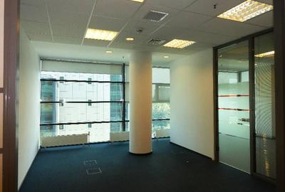 Birou, de 219 mp, în Floreasca - 10