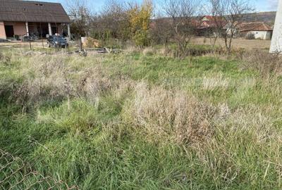 Teren intravilan Varsolt in suprafata de 400mp si 1200 mp ex - 3