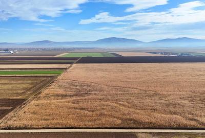 Teren de 324800 mp, în Prejmer - 3