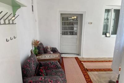 Casă cu 3 camere în Balinț - 8