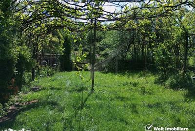 Casă cu 3 camere cu Teren 3320 Mp în Căpușu Mare - 12