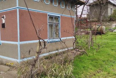 Seimenii Mici  Casa  Individuala 3 Camere Chirpici  S.teren  2100 Mp/42 Acte OK - 8