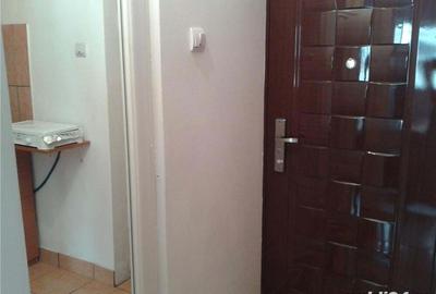 Garsonieră decomandată în Băile Herculane - 4