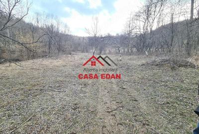 Teren de 3448 mp, în Provița de Jos - 3