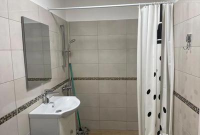 Garsonieră în Brazda lui Novac - 8