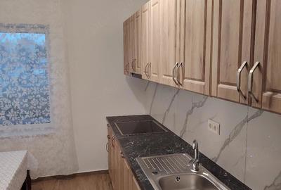 Apartament cu 2 camere decomandat în Gării - 2