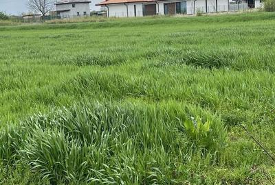 Teren de 2000 mp, în Adunații-Copăceni - 5