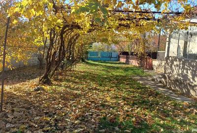 Vand Casa si Teren - 1