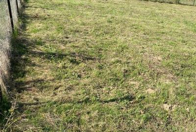 Teren Construcții extravilan de 1711 mp, în Sălicea - 5