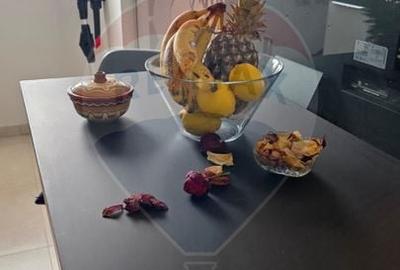 Apartament de inchiriat cu vedere la lac - 8