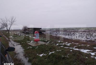 Teren de 10000 mp, în Central - 2