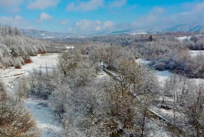 Teren de vânzare/ oportunitate de investiție/Valea Strâmbei/jud.Brașov - 6