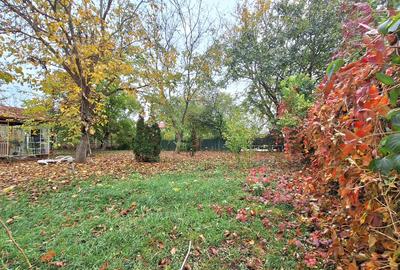 Apartament în Snagov – liniște, natură și confort - 17