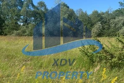 Teren in zona turistica Porumbacu de Sus - 1