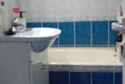 Apartament cu 2 camere semidecomandat în Zimbru - 5