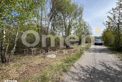 Teren de 842 mp, în Mireșu Mare - 3