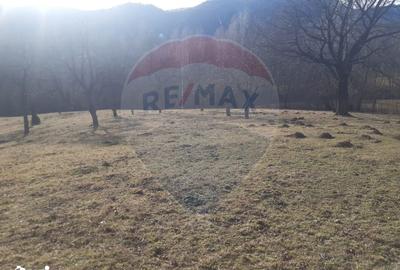 Teren de 10279 mp, în Bran - 12