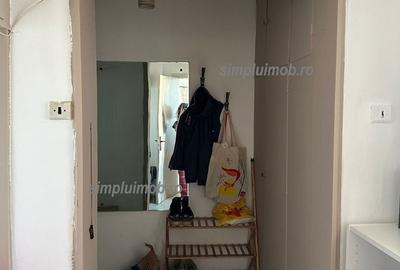 Panoramic Spațios IOR Baba Novac Câmpia Libertății - 5