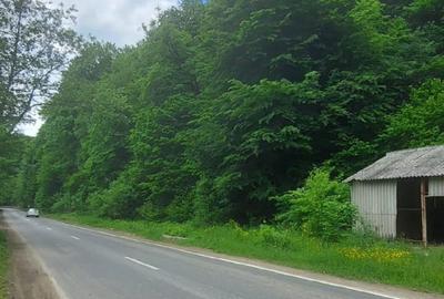 Spațiu comercial, în Dealu Mare - 2