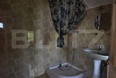 Casă cu 7 camere cu Teren 1535 Mp în Vetiș - 4