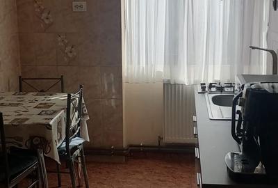 Apartament cu 2 camere nedecomandat în Băiuț - 1