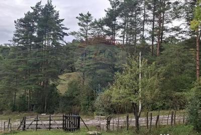 Teren de 4000 mp, în Moroeni - 1