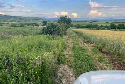 Teren de 16500 mp, în Bârsău - 5